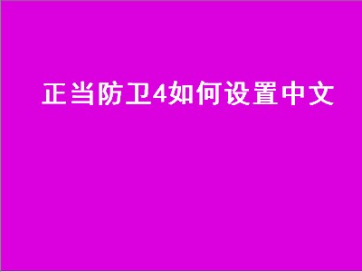 正当防卫4如何设置中文（正当防卫4如何设置中文简体）