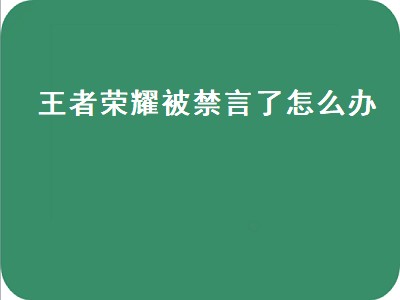 王者荣耀被禁言了怎么办（王者荣耀被禁言了怎么办 禁言怎么解封）