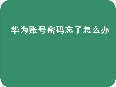 华为账号密码忘了怎么办（华为账号密码忘了手机号码也换了）