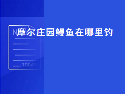 摩尔庄园鳗鱼在哪里钓（摩尔庄园鳗鱼在哪里钓怎么钓）