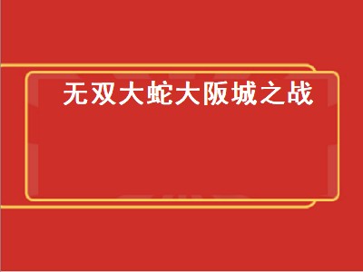 无双大蛇大阪城之战（无双大蛇大阪城之战开门）