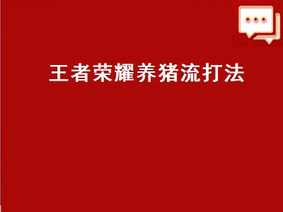 养猪流孙膑该如何出装（养猪流孙膑该出装攻略）