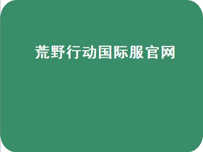 荒野行动国际服官网（荒野行动国际服官网下载）