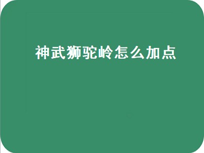 神武狮驼岭怎么加点（神武狮驼岭怎么加点厉害）