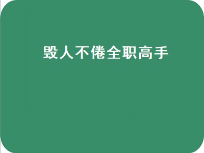 毁人不倦全职高手（毁人不倦全职高手职业）